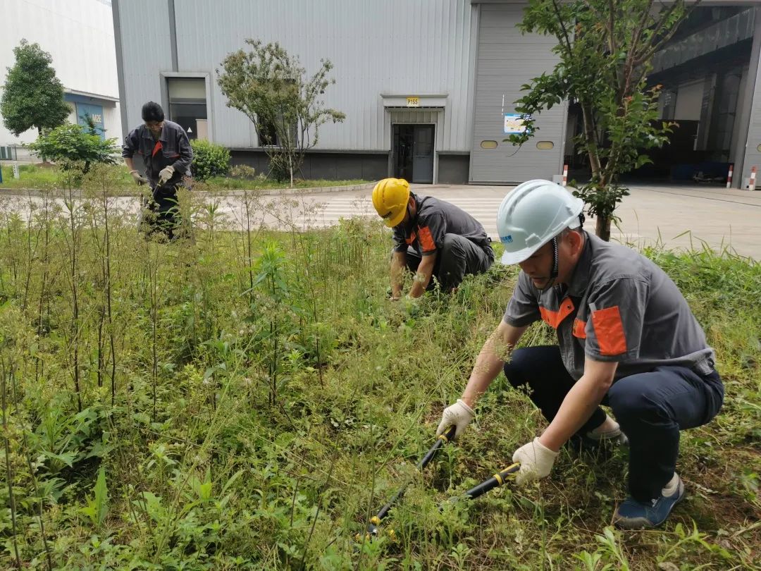 Learn ideas see action │ Shenda Machine Company organized the theme Party Day activities of "I contribute to beautiful Shenda" branch_ZHEJIANG SOUND MACHINERY MANUFACTURE CO.,LTD.