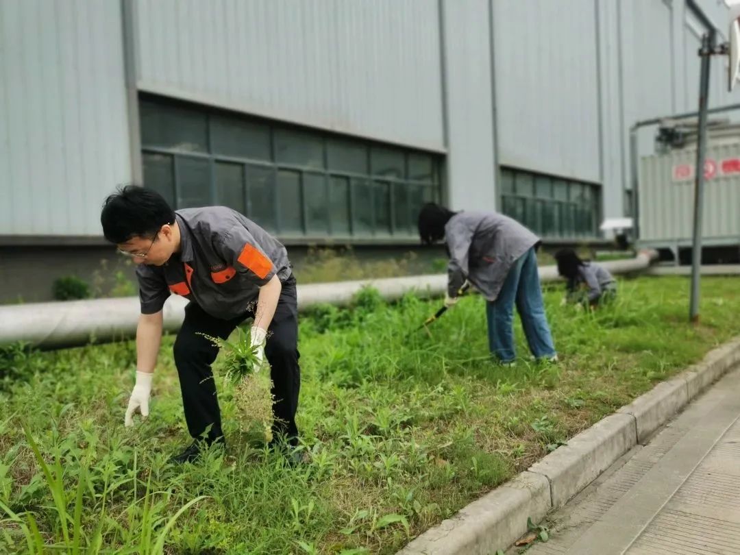 Learn ideas see action │ Shenda Machine Company organized the theme Party Day activities of "I contribute to beautiful Shenda" branch_ZHEJIANG SOUND MACHINERY MANUFACTURE CO.,LTD.