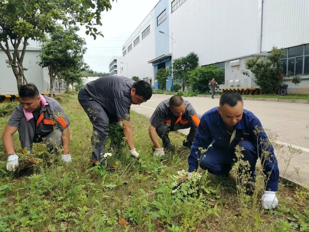 Learn ideas see action │ Shenda Machine Company organized the theme Party Day activities of "I contribute to beautiful Shenda" branch_ZHEJIANG SOUND MACHINERY MANUFACTURE CO.,LTD.