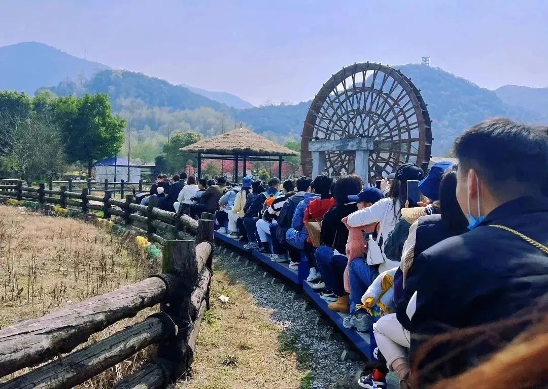 春暖半边天 爱在“三八”节——大发welcome机械公司工会组织庆“三八”主题活动_大发welcome